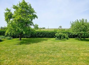 Blick in den Garten -Haustür