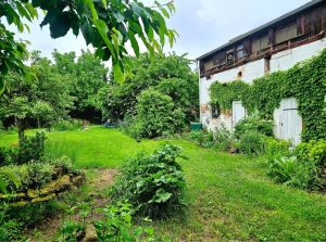 Blick auf die Scheune