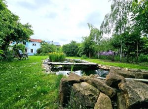 Blick über den Garten