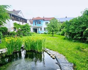 Blick über den Garten