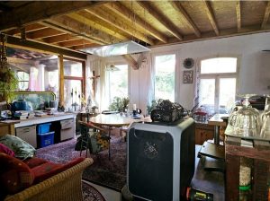 Wohnen Gebäude hinten mit Blick in den Garten