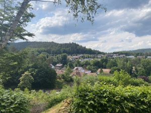 Ausblick Waldrandlage