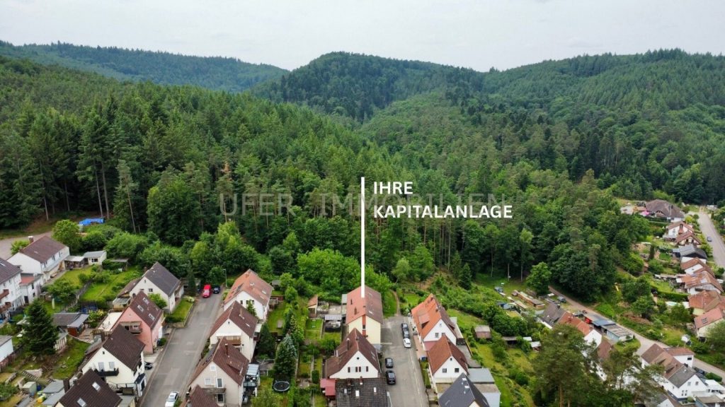 Drohnenaufnahme Fernblick