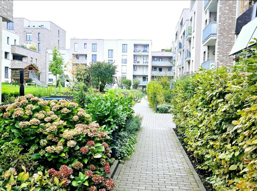 Eingangsbereich /Garten zum Haus