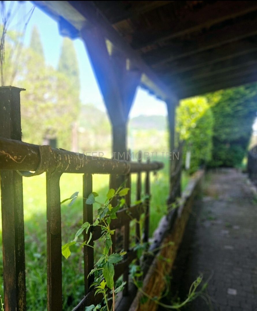 Eingangsbereich Garten