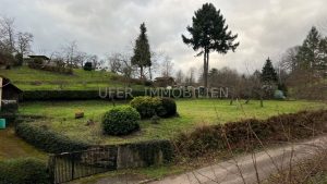 Außenansicht Garten