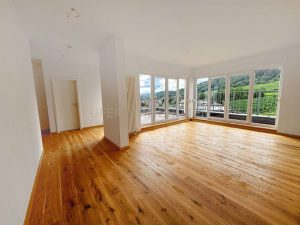 Wohn-Ess-Kochbereich