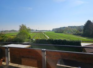 Blick von  Balkonterrasse