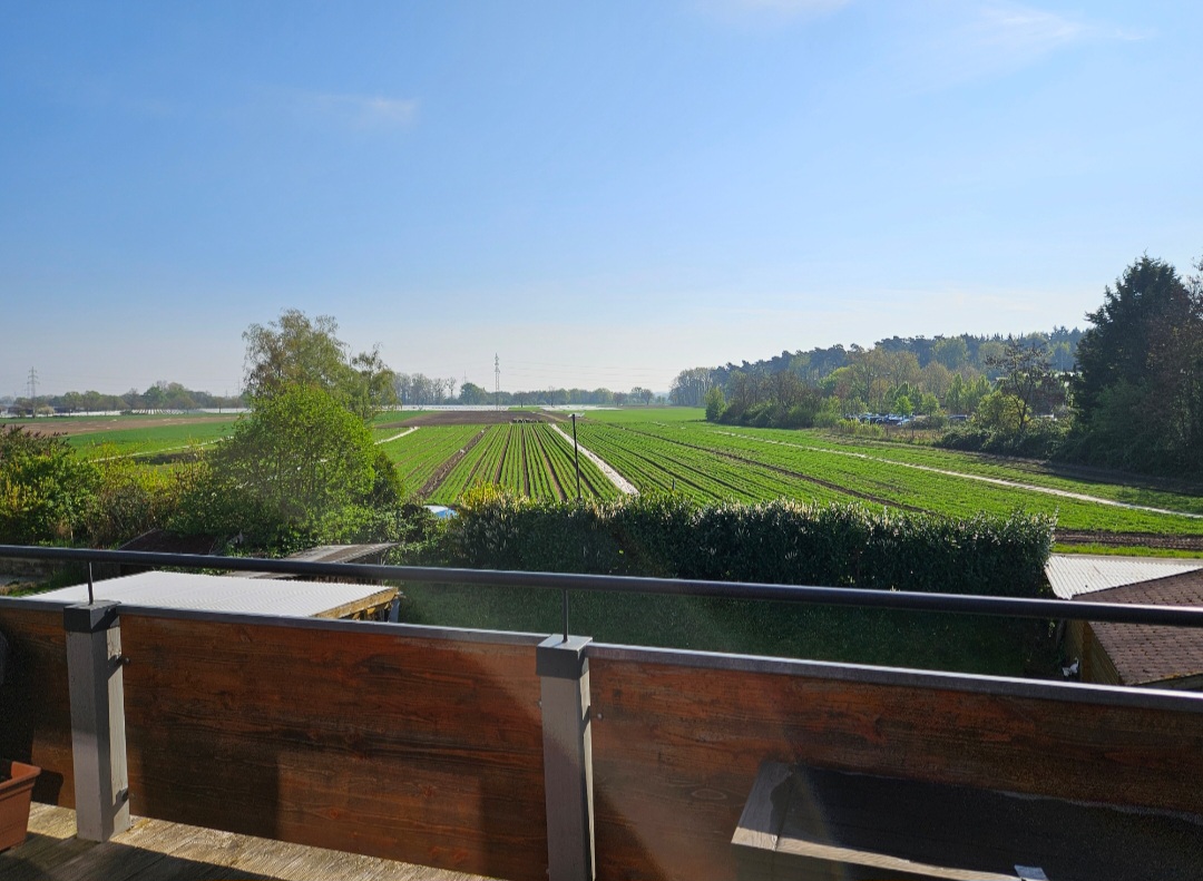 Blick von  Balkonterrasse