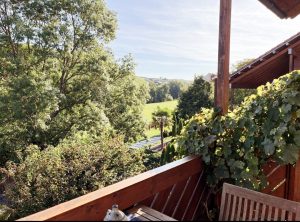 Blick Balkon EG