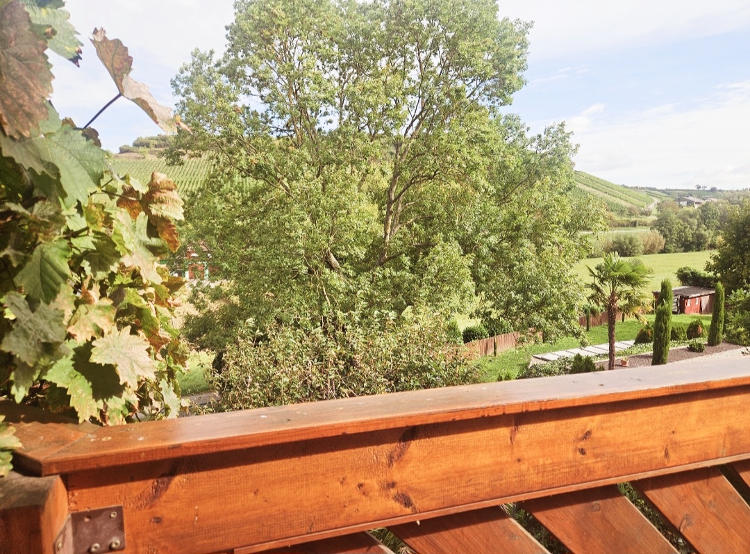 Blick vom Balkon