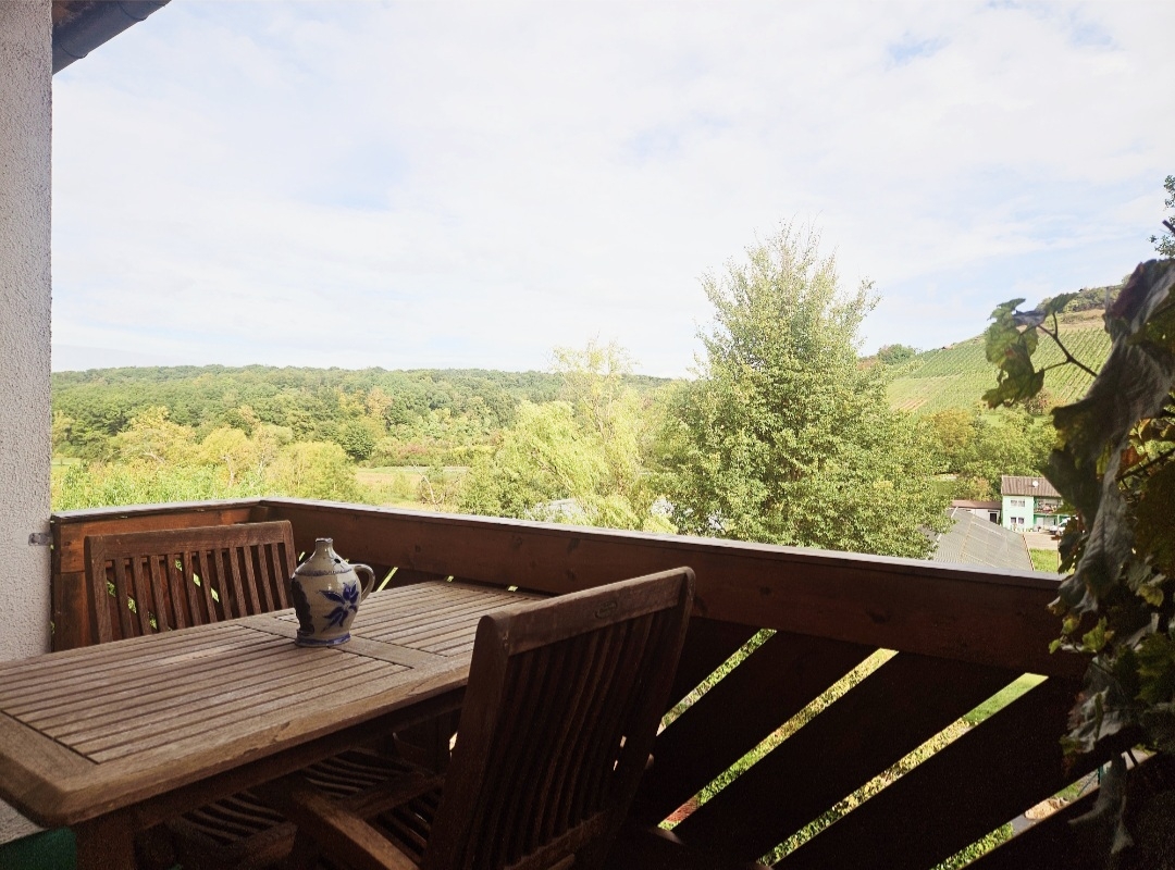 Blick Balkon EG