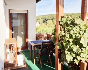 Blick Balkon EG