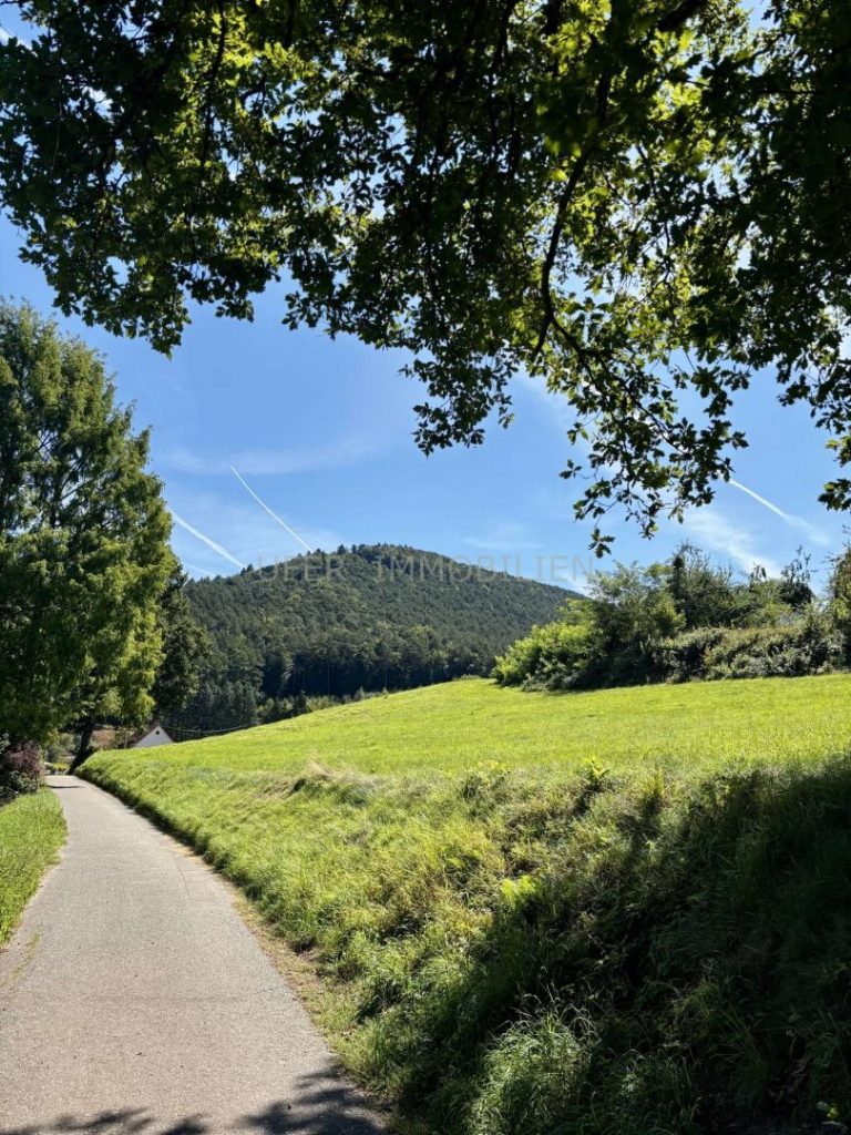 Ausblick